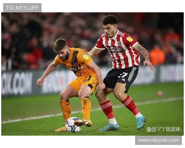 谢菲联升级附加赛失利，怀尔德遭解雇，塞莱斯有望接任(1)